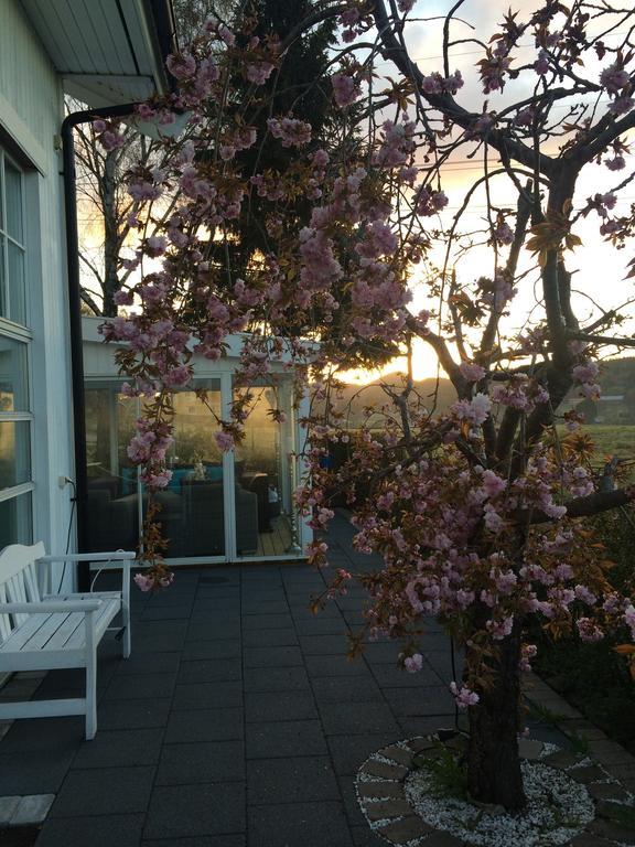 Cafe Torpet B&B Skepplanda Екстериор снимка